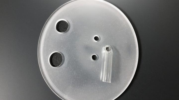 What is a Quartz Cap?